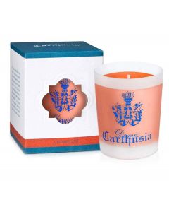 Corallium Candle - 